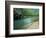 Buffalo National River, Arkansas, USA-Charles Gurche-Framed Photographic Print