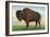 Buffalo, New York, Greetings From with a Buffalo-Lantern Press-Framed Art Print