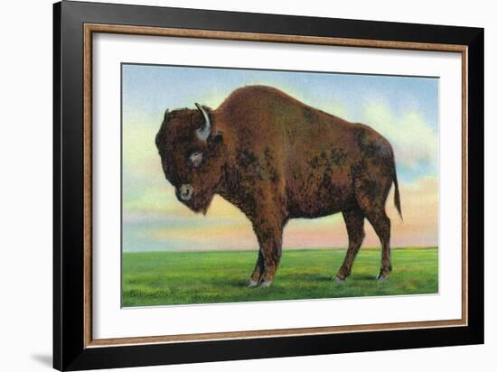 Buffalo, New York, Greetings From with a Buffalo-Lantern Press-Framed Art Print