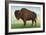 Buffalo, New York, Greetings From with a Buffalo-Lantern Press-Framed Art Print