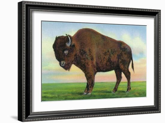 Buffalo, New York, Greetings From with a Buffalo-Lantern Press-Framed Art Print