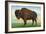 Buffalo, New York, Greetings From with a Buffalo-Lantern Press-Framed Art Print