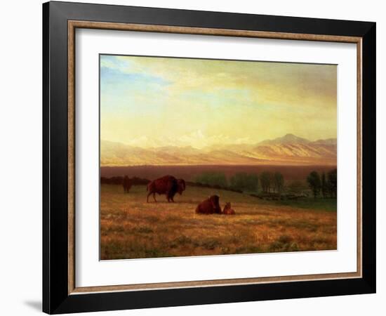 Buffalo on the Plains, Circa 1890-Sir William Beechey-Framed Giclee Print