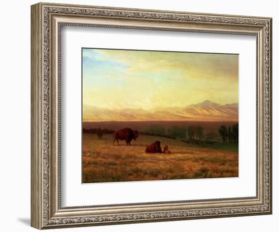 Buffalo on the Plains, Circa 1890-Sir William Beechey-Framed Premium Giclee Print