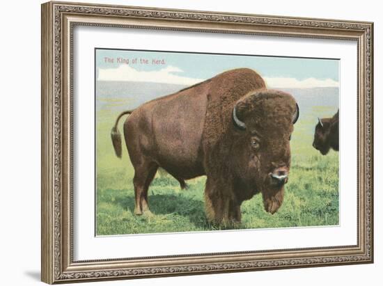 Buffalo on the Range-null-Framed Art Print
