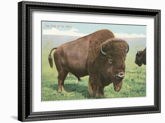 Buffalo on the Range-null-Framed Art Print