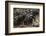 Buffalo, Private Game Ranch, Great Karoo, South Africa-Pete Oxford-Framed Photographic Print