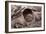 Buffalo River 11-Gordon Semmens-Framed Photographic Print