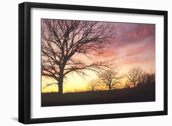 Buffalo River 17-Gordon Semmens-Framed Photographic Print