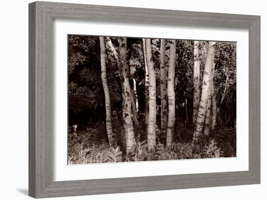 Buffalo River 17-Gordon Semmens-Framed Photographic Print