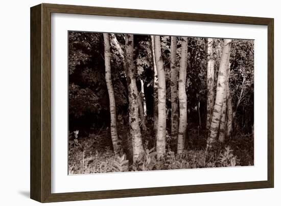 Buffalo River 17-Gordon Semmens-Framed Photographic Print