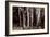Buffalo River 17-Gordon Semmens-Framed Photographic Print