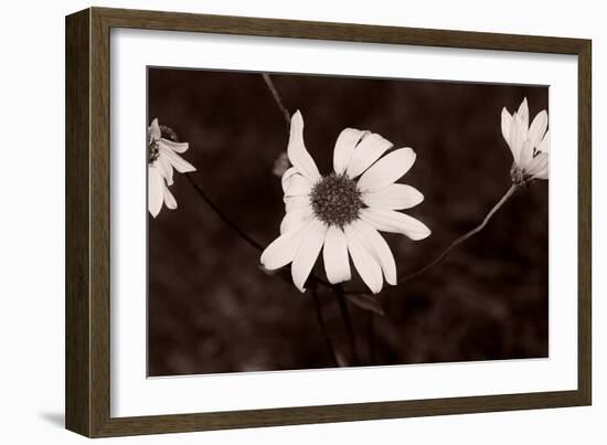 Buffalo River 18-Gordon Semmens-Framed Photographic Print