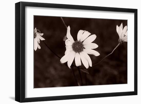 Buffalo River 18-Gordon Semmens-Framed Photographic Print