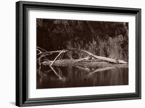 Buffalo River 1-Gordon Semmens-Framed Photographic Print