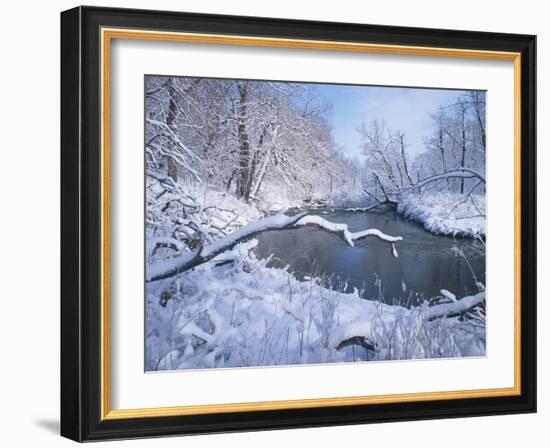 Buffalo River 41-Gordon Semmens-Framed Photographic Print