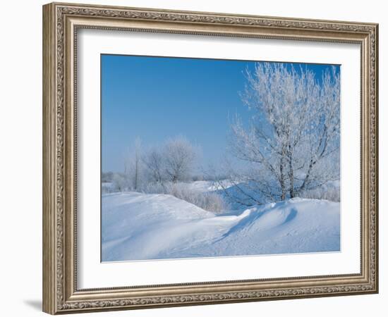 Buffalo River 42-Gordon Semmens-Framed Photographic Print