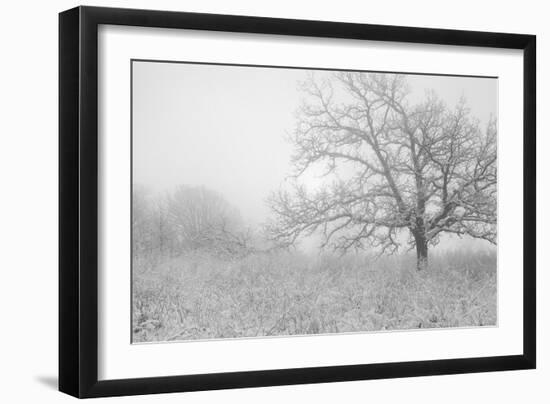 Buffalo River 43-Gordon Semmens-Framed Photographic Print