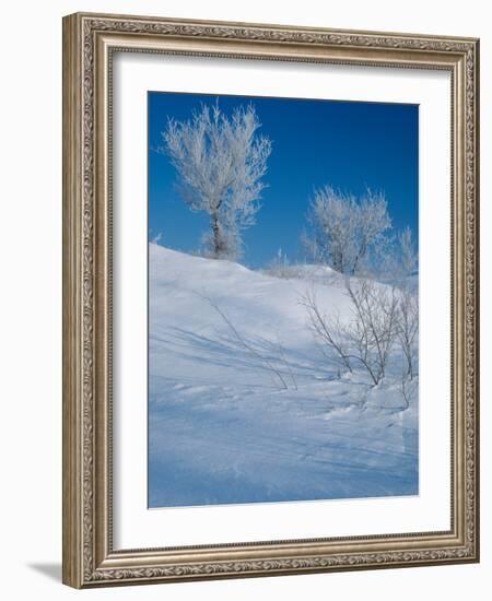 Buffalo River 43-Gordon Semmens-Framed Photographic Print