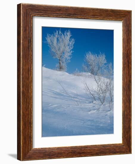 Buffalo River 43-Gordon Semmens-Framed Photographic Print