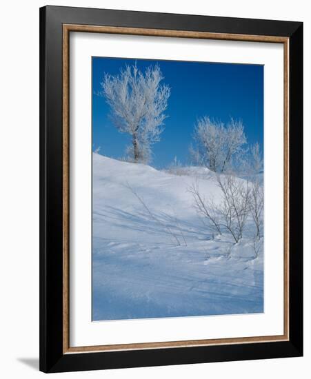 Buffalo River 43-Gordon Semmens-Framed Photographic Print