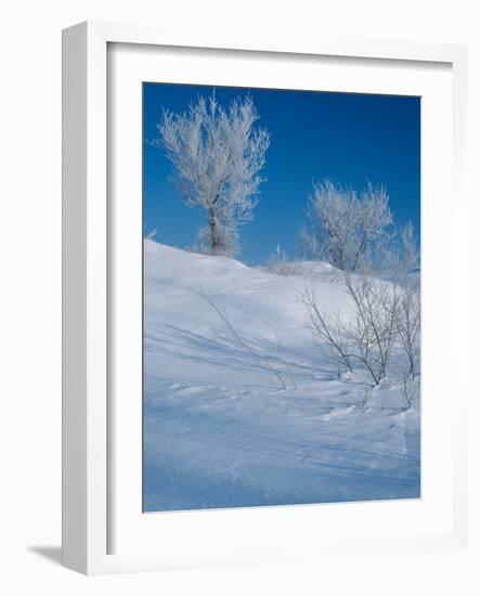 Buffalo River 43-Gordon Semmens-Framed Photographic Print