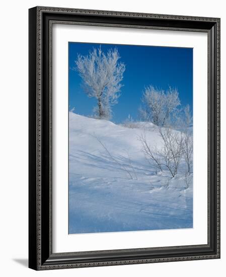 Buffalo River 43-Gordon Semmens-Framed Photographic Print