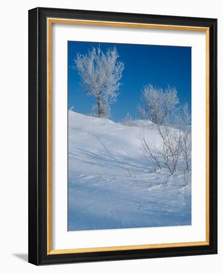 Buffalo River 43-Gordon Semmens-Framed Photographic Print