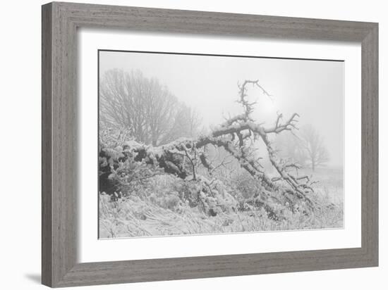 Buffalo River 44-Gordon Semmens-Framed Photographic Print