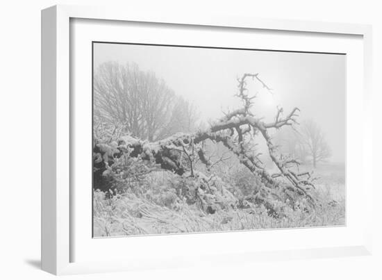 Buffalo River 44-Gordon Semmens-Framed Photographic Print