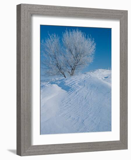 Buffalo River 44-Gordon Semmens-Framed Photographic Print