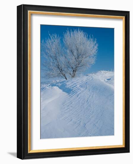 Buffalo River 44-Gordon Semmens-Framed Photographic Print