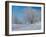 Buffalo River 47-Gordon Semmens-Framed Photographic Print