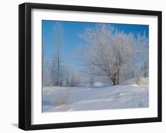 Buffalo River 47-Gordon Semmens-Framed Photographic Print