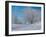Buffalo River 47-Gordon Semmens-Framed Photographic Print