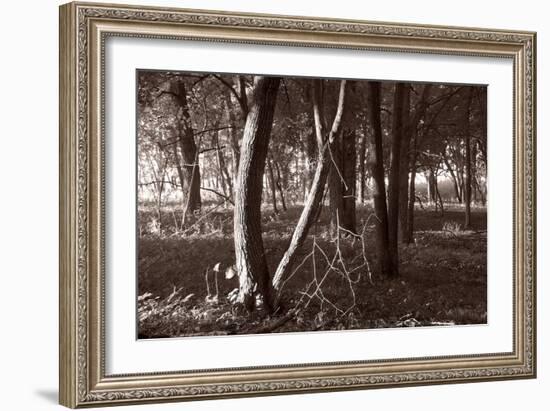 Buffalo River 4-Gordon Semmens-Framed Photographic Print