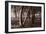 Buffalo River 4-Gordon Semmens-Framed Photographic Print