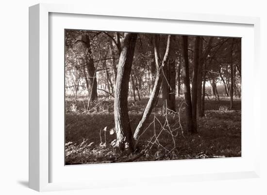 Buffalo River 4-Gordon Semmens-Framed Photographic Print