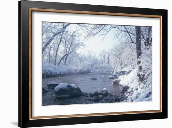 Buffalo River 51-Gordon Semmens-Framed Photographic Print