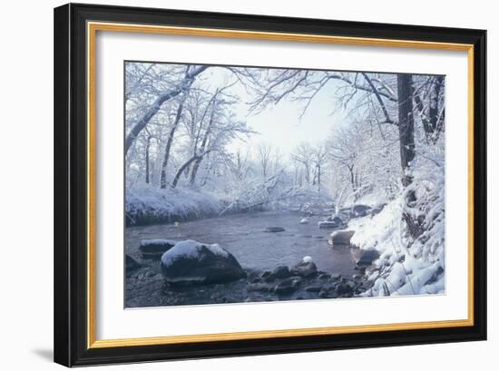 Buffalo River 51-Gordon Semmens-Framed Photographic Print