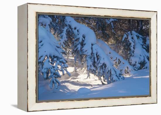 Buffalo River 52-Gordon Semmens-Framed Premier Image Canvas