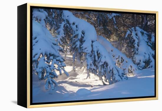 Buffalo River 52-Gordon Semmens-Framed Premier Image Canvas