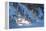 Buffalo River 52-Gordon Semmens-Framed Premier Image Canvas