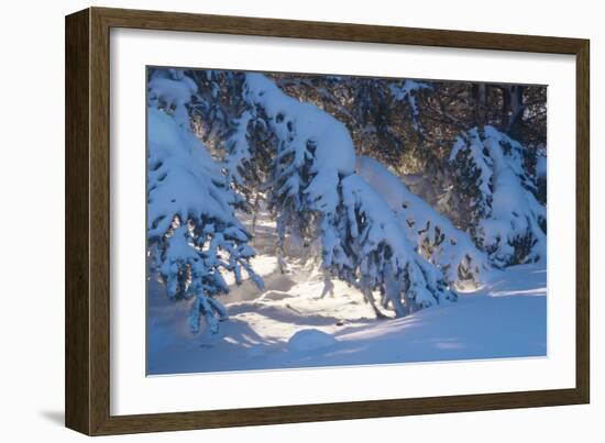 Buffalo River 52-Gordon Semmens-Framed Photographic Print