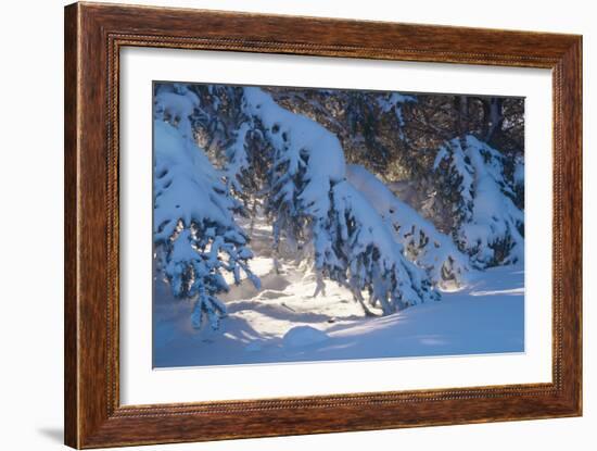 Buffalo River 52-Gordon Semmens-Framed Photographic Print