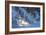 Buffalo River 52-Gordon Semmens-Framed Photographic Print