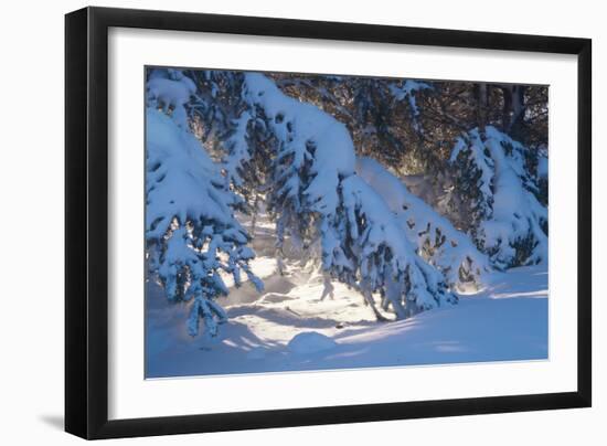 Buffalo River 52-Gordon Semmens-Framed Photographic Print