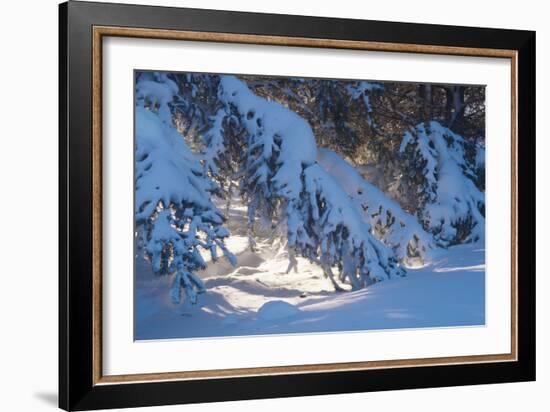 Buffalo River 52-Gordon Semmens-Framed Photographic Print