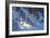 Buffalo River 52-Gordon Semmens-Framed Photographic Print