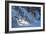 Buffalo River 52-Gordon Semmens-Framed Photographic Print